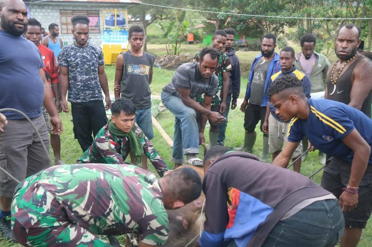 Inilah Antusiasme Idul Adha 1442 H di Pegunungan Tengah Papua