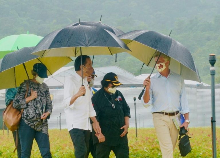Persemaian Rumpin Ditinjau, Presiden: Indonesia Serius Tangani Perubahan Iklim
