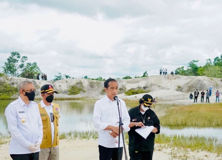 Area Bekas Tambang di Sintang Kalbar Ditanami Pohon Presiden