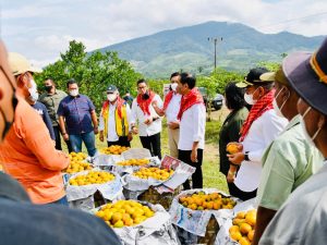 Presiden Tinjau Kampung Jeruk Liang Melas Datas