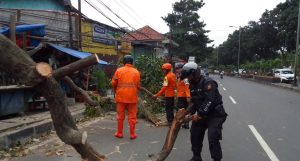 Pohon Tumbang Tutup Akses Jalan Raya Jakarta Bogor