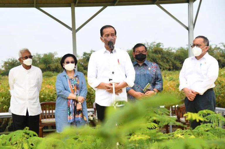 Presiden: Rehabilitasi Lahan Kritis Dimulai dari Pembangunan Persemaian