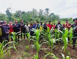 Tanaman Masyarakat Tumbuh Subur, Bukti Pelatihan Pertanian Satgas Pamtas