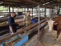 Dedie Rachim Pastikan Hewan Ternak di RPH Bubulak Sehat dan Miliki SKKD