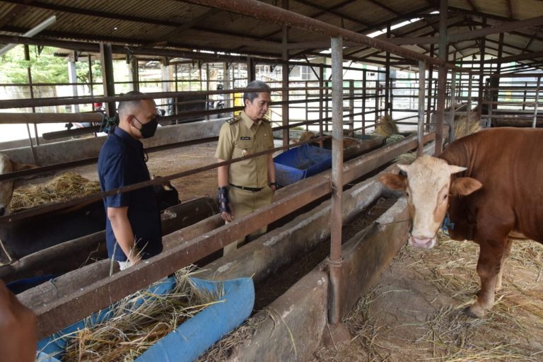 Dedie Rachim Pastikan Hewan Ternak di RPH Bubulak Sehat dan Miliki SKKD