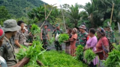 Satgas Bersama Warga Perbatasan   Panen Kangkung