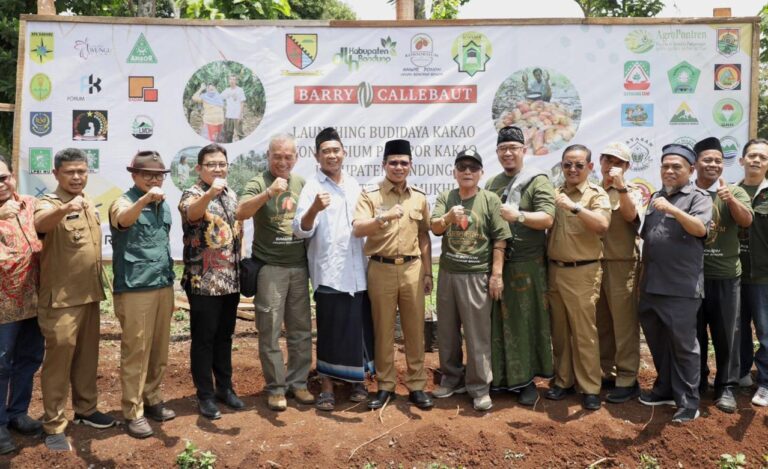 Pengembangan Budidaya Kakao Bisa Menjadi Konservasi