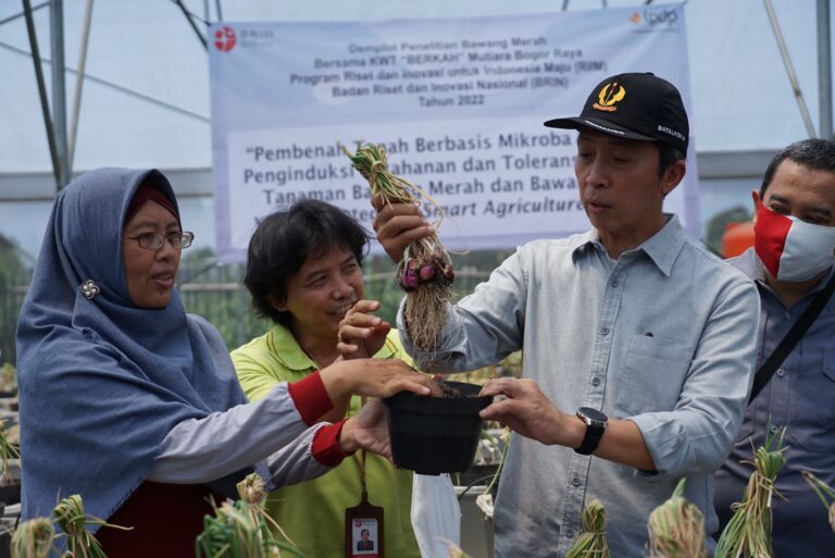 Dedie Rachim Ajak Warga Tanam Bawang dan Cabai