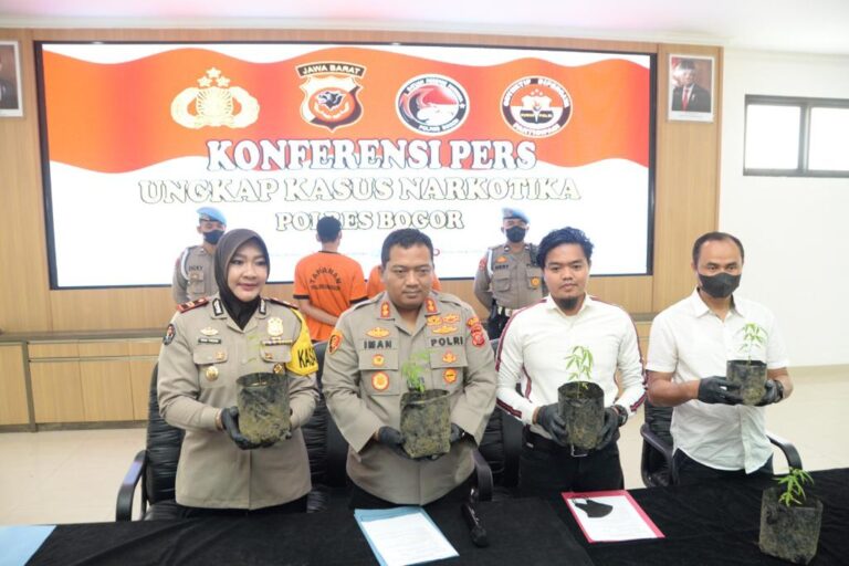 Sat Narkoba Polres Bogor Kembali Ungkap Pelaku Penanam Ganja