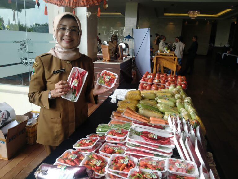 Dinas Ketahanan Pangan dan Perikanan Gelar Bazar Pangan Murah di 8 Kecamatan