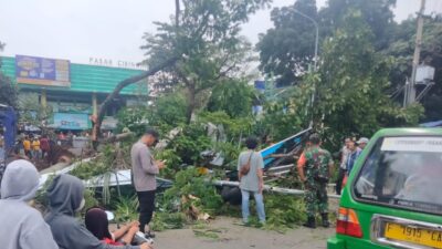 Sejumlah Kendaraan Tertimpa Pohon Tumbang di depan Pasar Cibinong