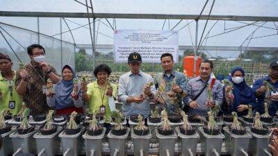 TPST3R MBR Panen Bawang dan Jadi Pusat Pembelajaran