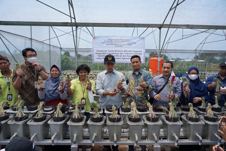 TPST3R MBR Panen Bawang dan Jadi Pusat Pembelajaran