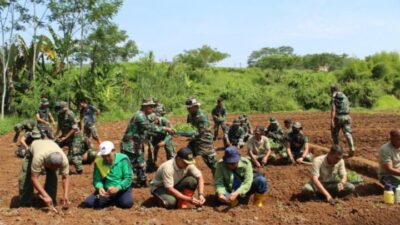 Wujudkan Ketahanan Pangan, Dandim Tinjau Kesiapan Lahan Demlot Tanaman Cabe Rawit