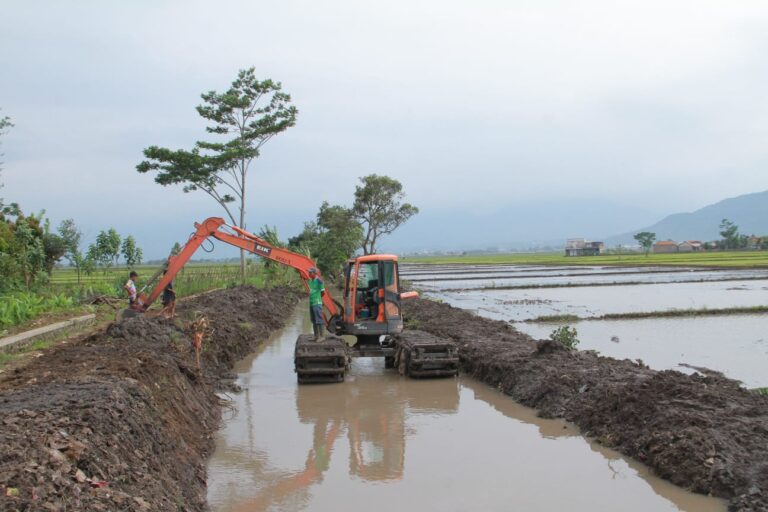 Korban Bencana Banjir di Kecamatan Ciparay dan Bojongsoang Bandung Ditinjau Bupati