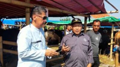 Diskanak Pemkab Bogor Pastikan Hewan Qurban Sehat dan Layak Konsumsi