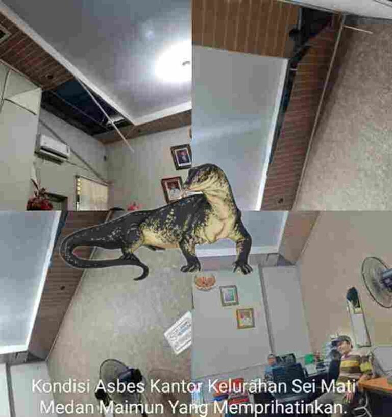 Waduh! Kantor Lurah Sei Mati Jadi Sarang Biawak dan Sangat Memprihatinkan