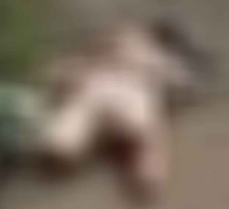 Wanita Termutilasi di Cisontrol, Pelaku Diduga Suaminya Sendiri