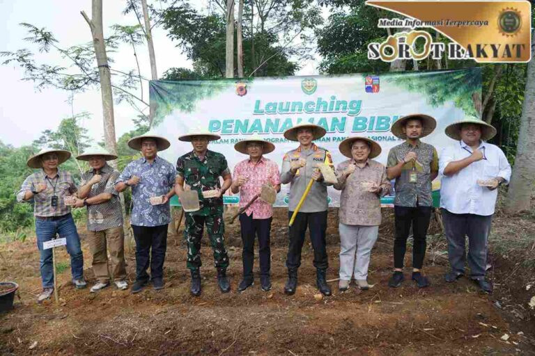 Atas Arahan Presiden, Lahan 2 Hektare di Kota Bogor Disulap Jadi Ladang Jagung untuk Masyarakat