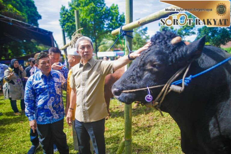 Bursa Hewan Qurban 2025 Kota Bogor Resmi Dibuka: Pilihan Terjamin untuk Idul Adha