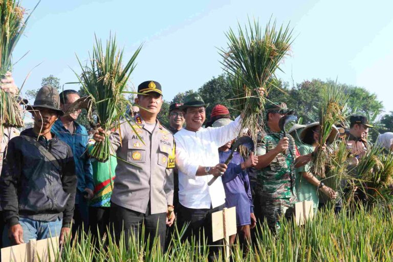 Cetak Sejarah! Bandung Lampaui Target Swasembada Pangan Nasional, Kang DS: Penetapan Pembebasan Pajak Lahan Sawah Abadi