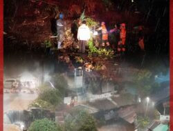 Hujan Badai Menerjang! Kota Bogor Lumpuh Dihantam Bencana Ganda: Pohon Raksasa Tutupi Jalan Utama & Belasan Rumah Terendam Banjir