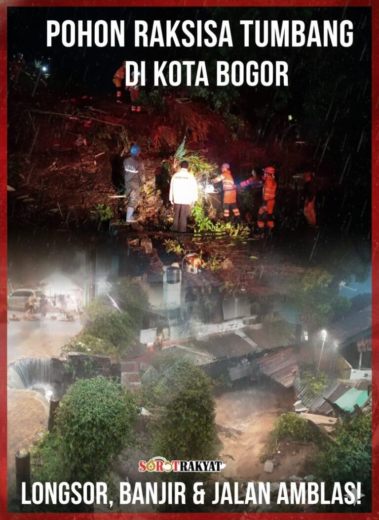 Hujan Badai Menerjang! Kota Bogor Lumpuh Dihantam Bencana Ganda: Pohon Raksasa Tutupi Jalan Utama & Belasan Rumah Terendam Banjir